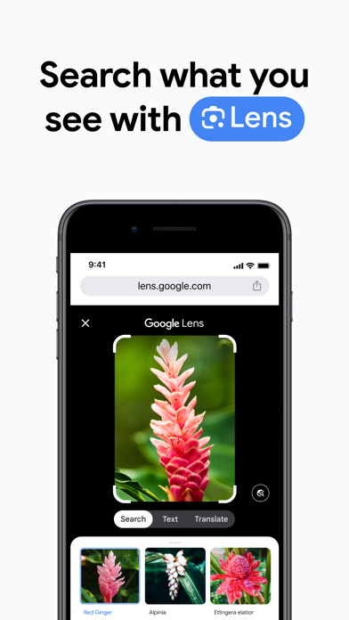 Google Chrome 预览 2