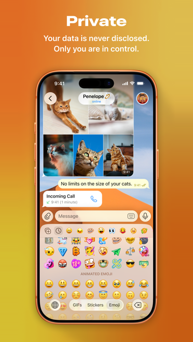 Telegram 预览 3